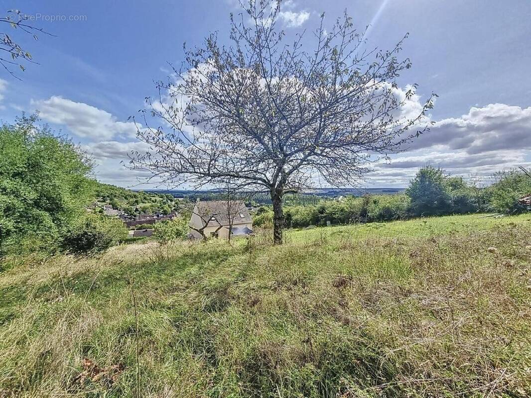 Photo 1 - Terrain à JOIGNY