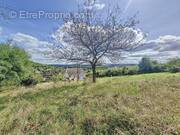 Photo 1 - Terrain à JOIGNY