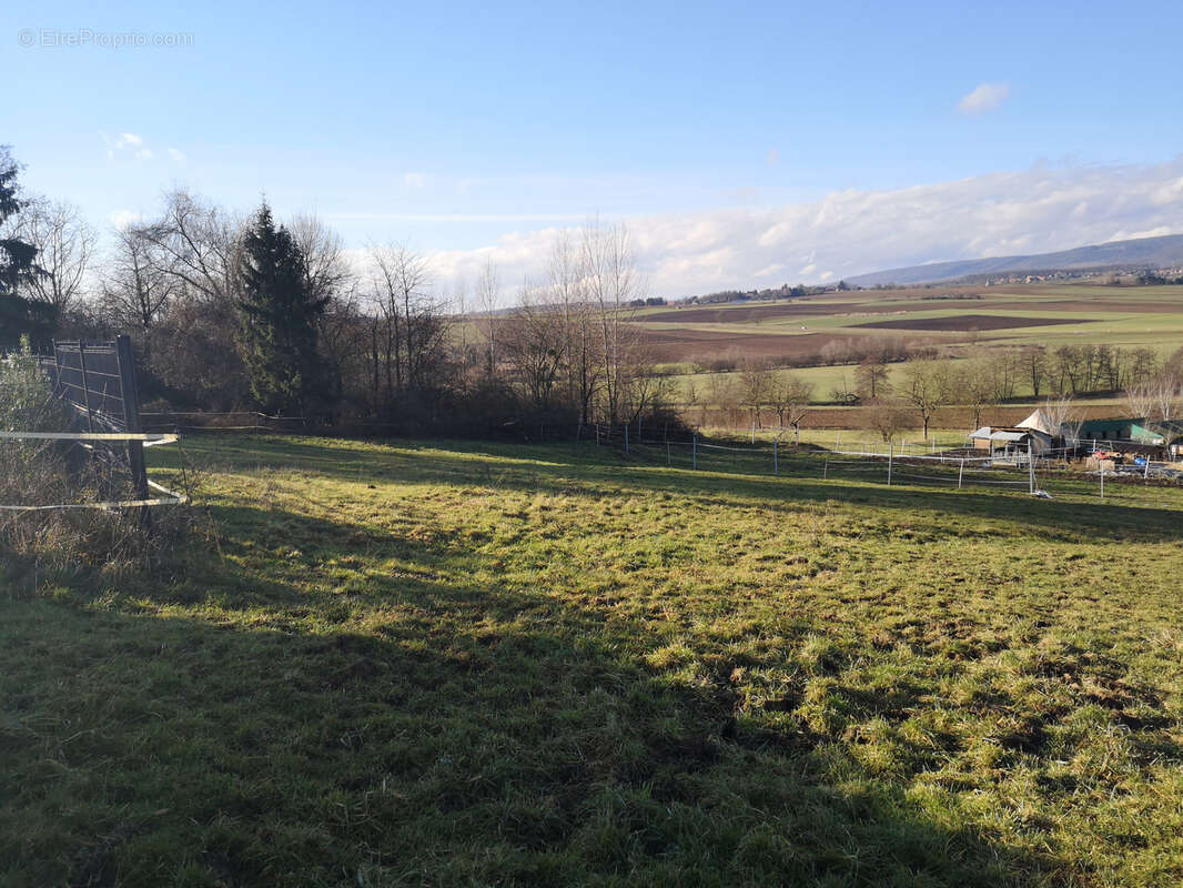 Terrain à SCHOENENBOURG