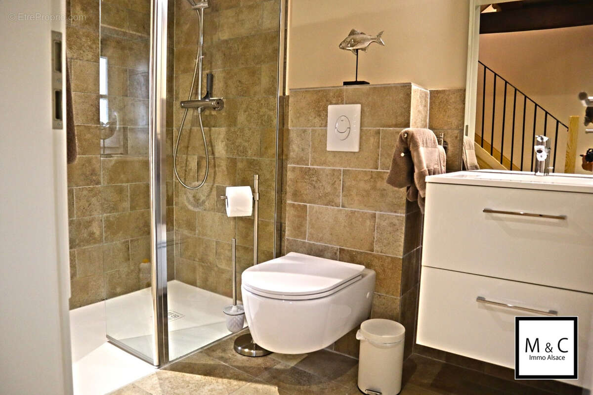 Demeure de prestige Ingolsheim 7 pièces 200 m2 - photo 6