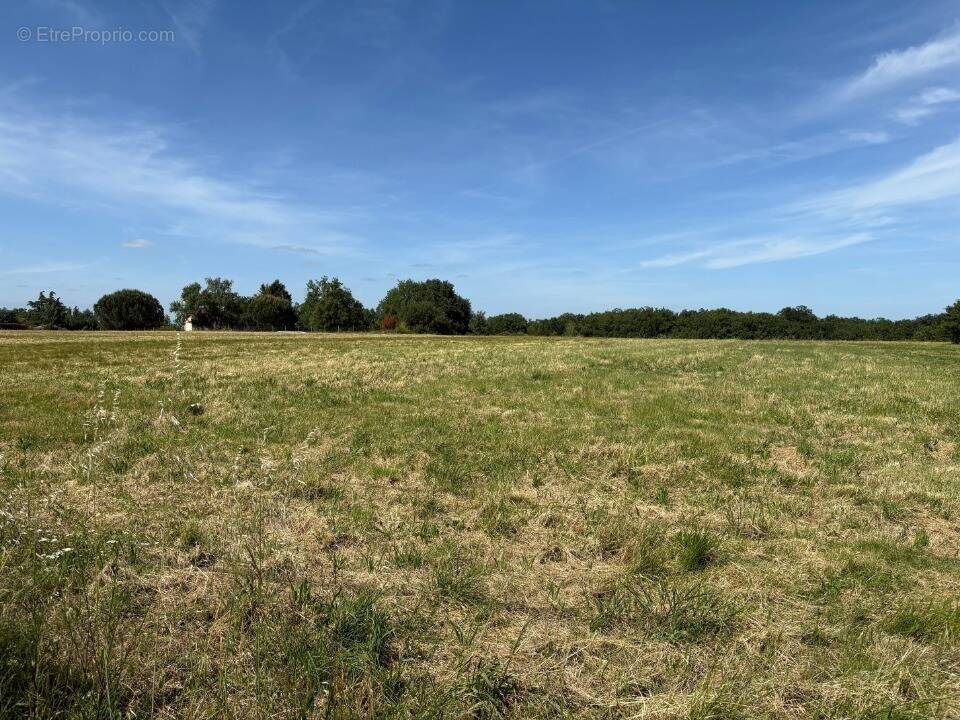 Terrain à VACQUIERS