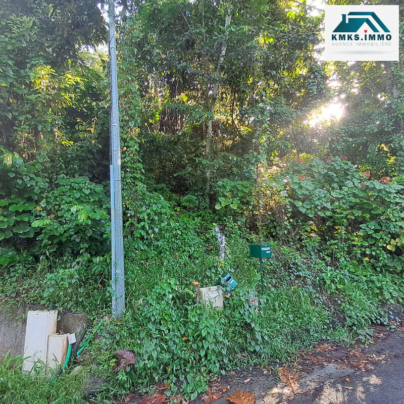 Terrain à RIVIERE-SALEE