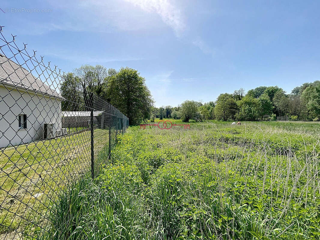 Terrain à SAULT-SAINT-REMY
