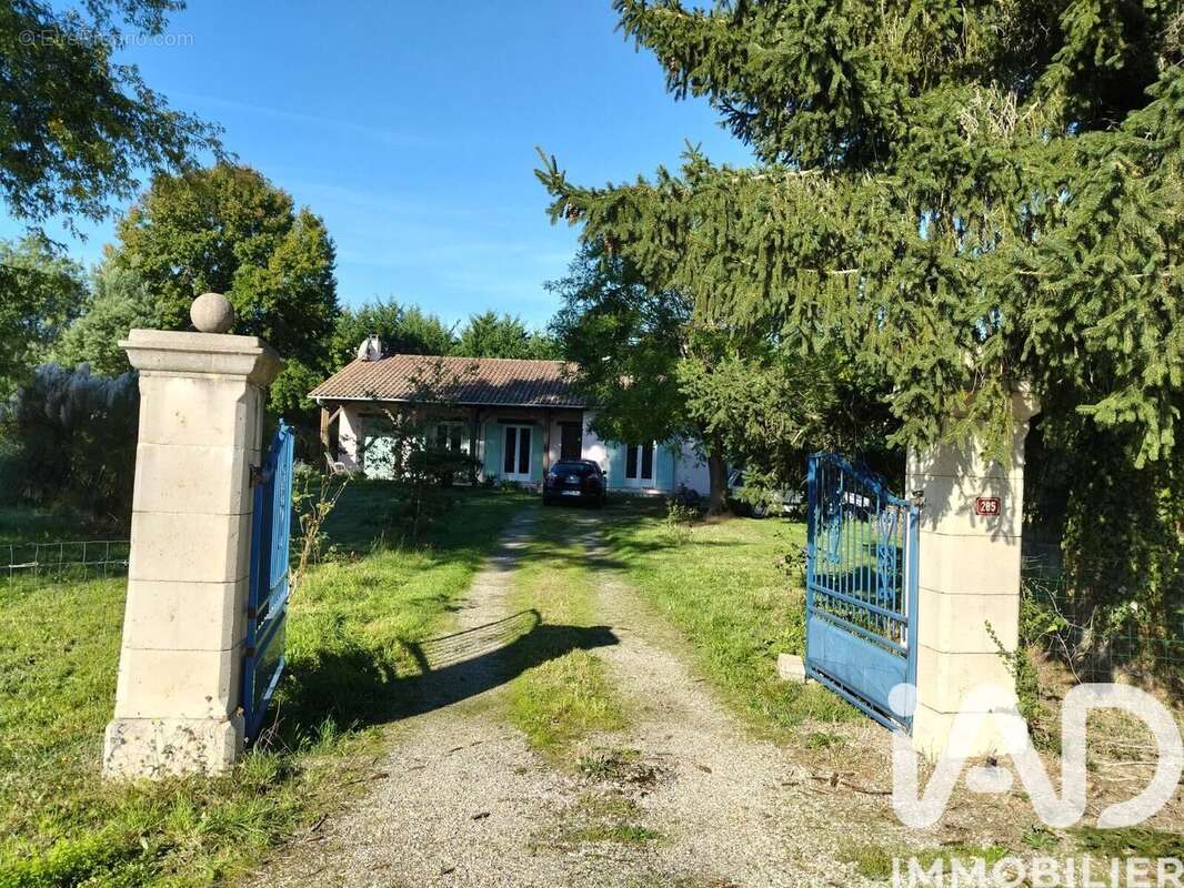 Photo 2 - Maison à MONTAURIOL