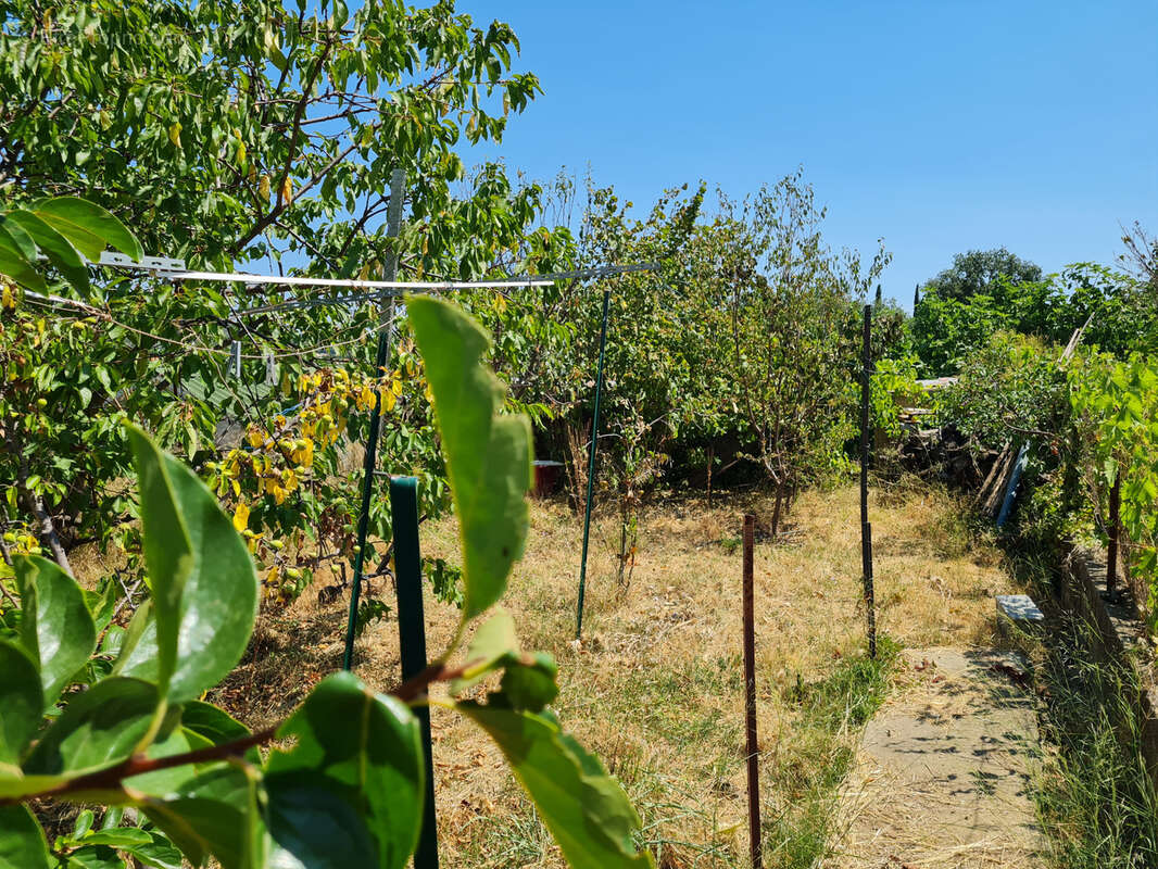 A vendre maison de ville avec jardin à 5mn du cœur de Céret. - photo 19