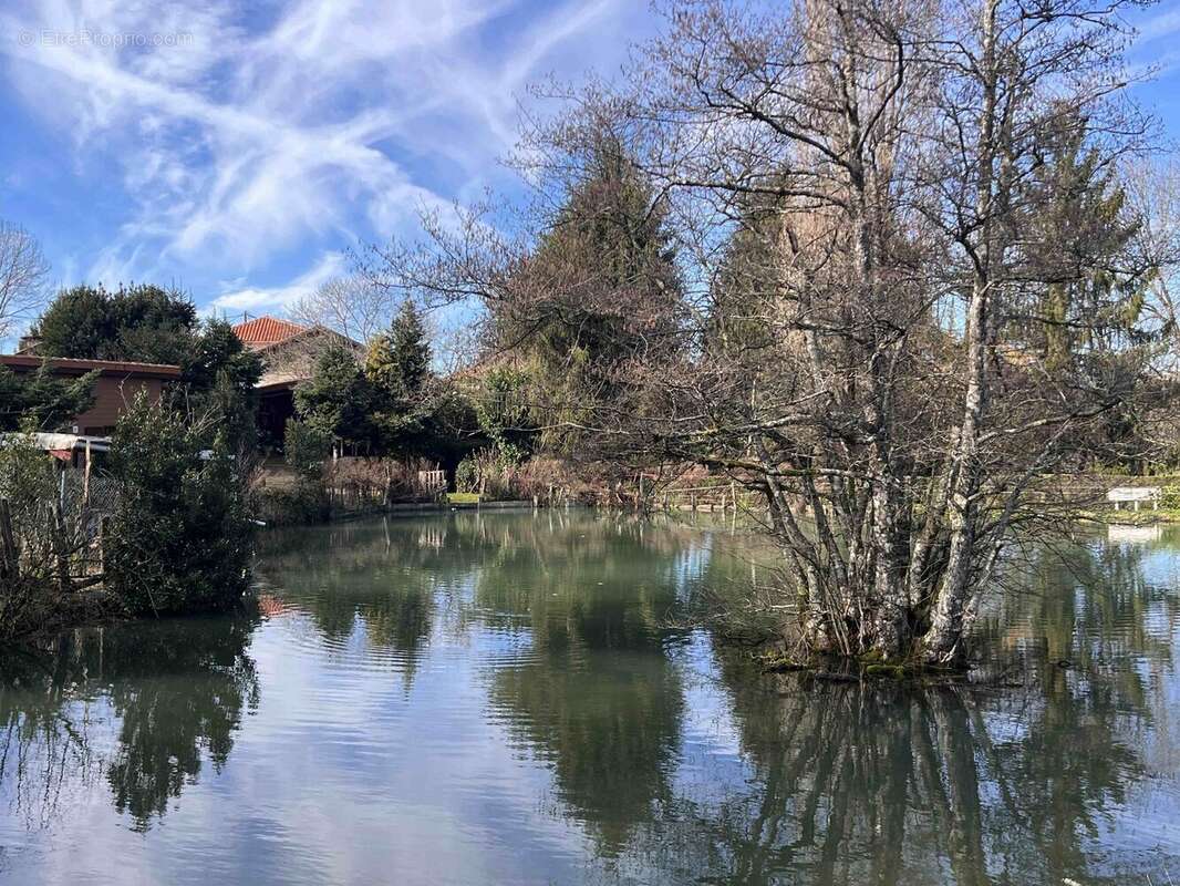 Terrain à CHASSENEUIL-SUR-BONNIEURE