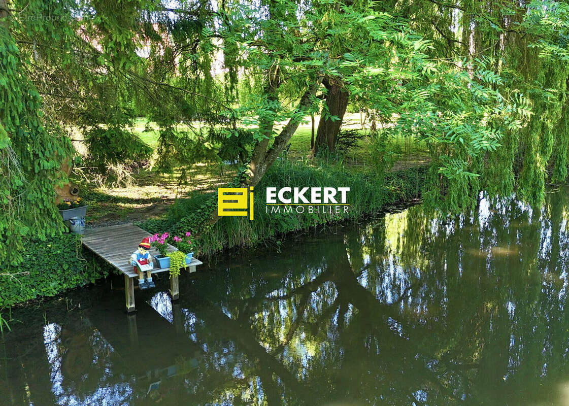 Terrain 1500 m² à Wolxheim  - photo 6