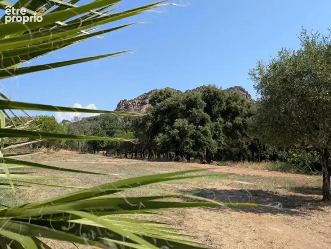 Coup de coeur pour cette ancienne bergerie rénovée au pied du rocher ! - photo 3