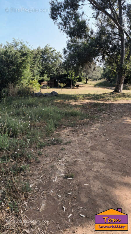 Terrain à SAINT-THIBERY