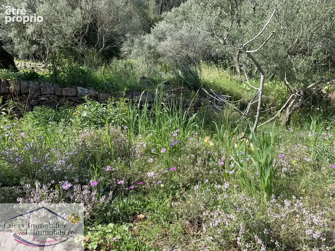 terrain à vendre sollies-pont - photo 8