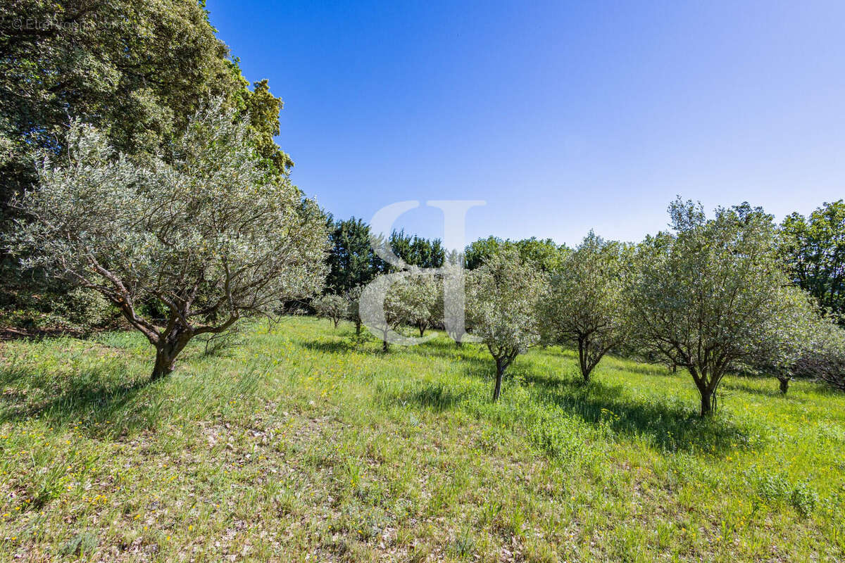 Maison à VAISON-LA-ROMAINE