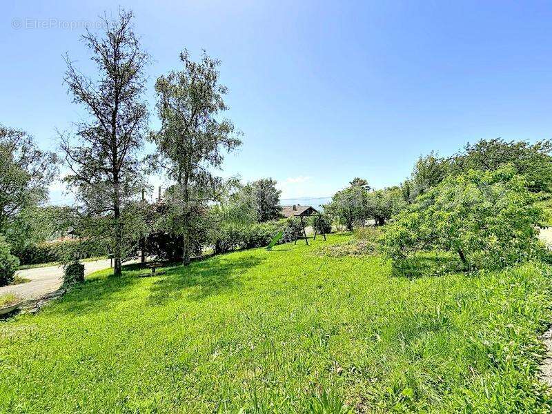 Terrain_constructible_bonne_proche_frontière_Suisse_Genève_ - Terrain à BONNE