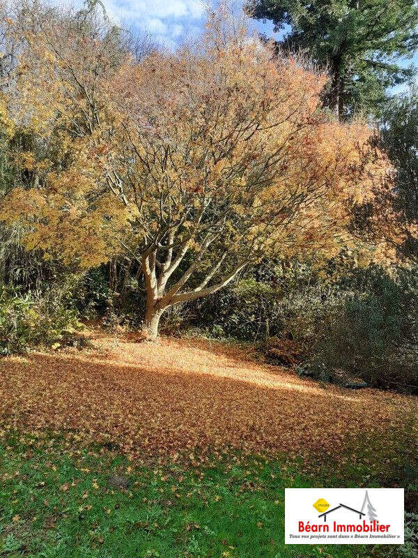 Maison à SALIES-DE-BEARN