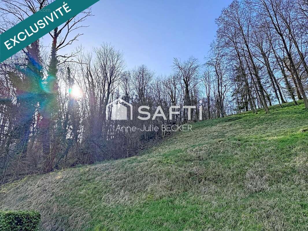 Photo 2 - Maison à SARREGUEMINES