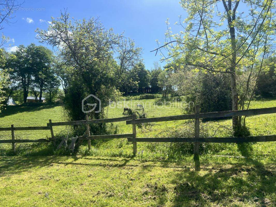 Maison à SALIES-DE-BEARN