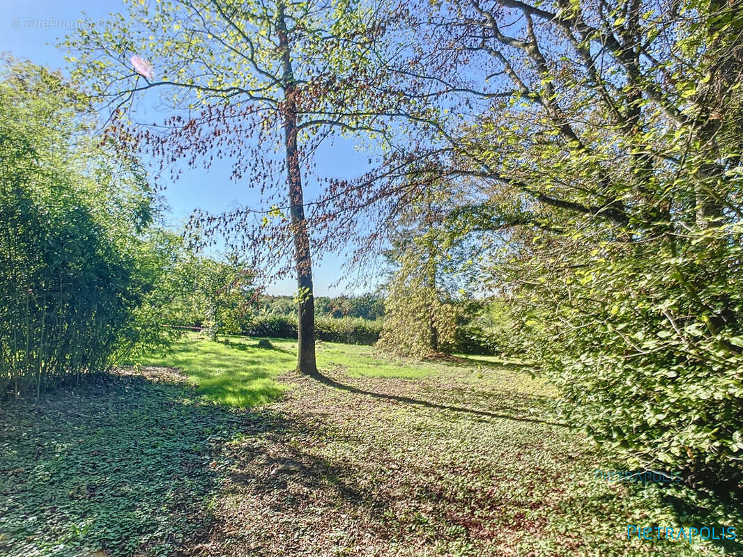 Terrain à CHANOZ-CHATENAY