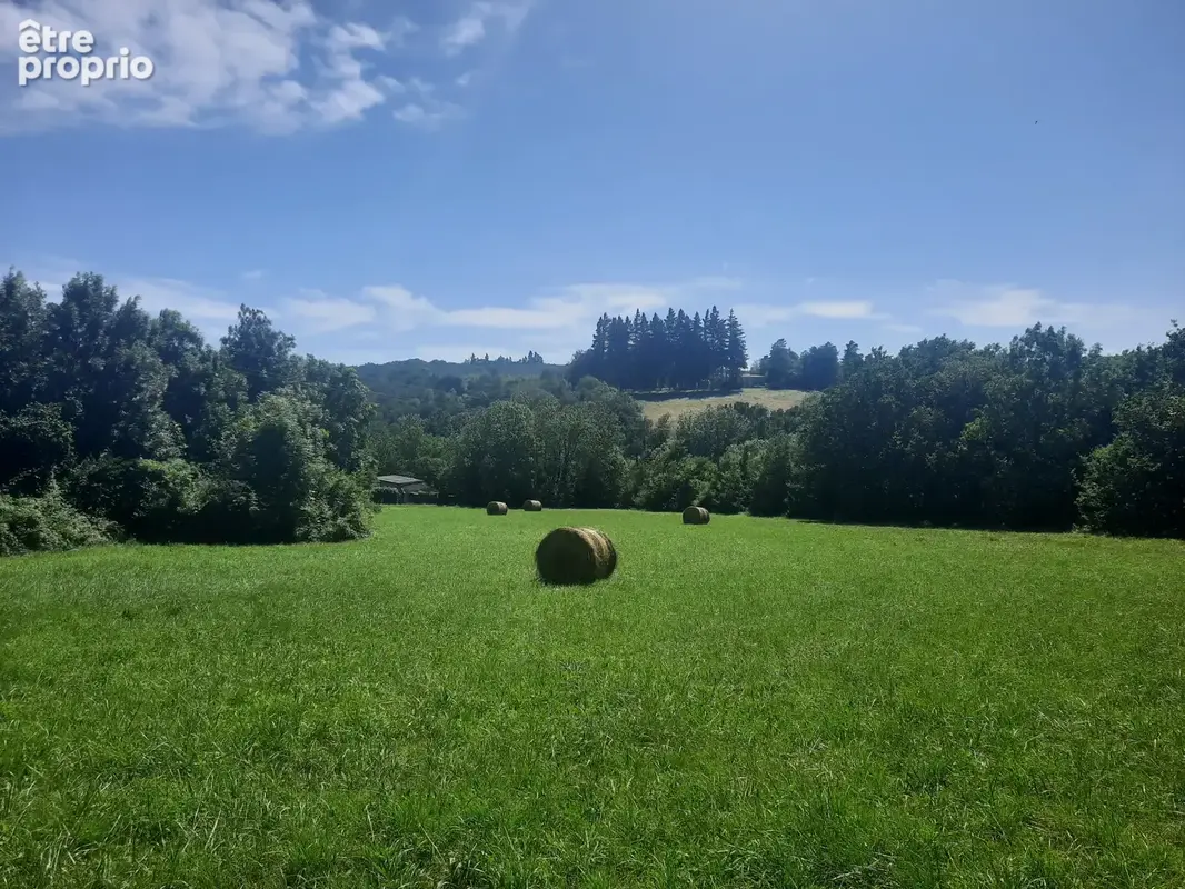 Terrain 7 430 m² à vendre à Noailhac (81490) - photo 1