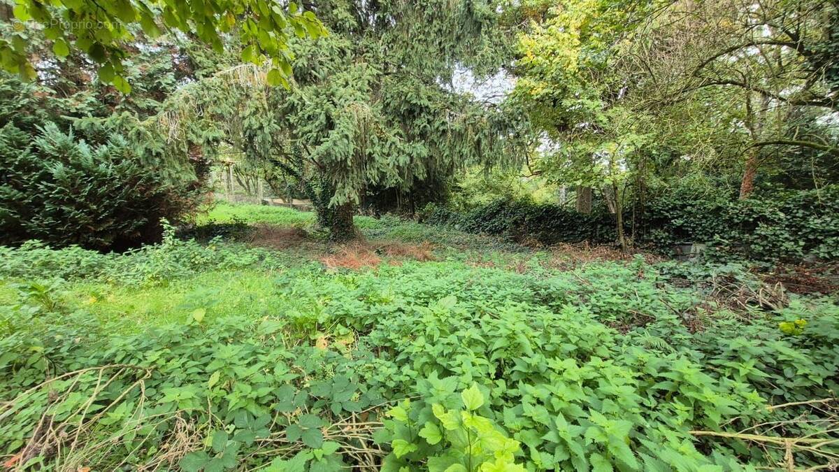 Terrain à PALAISEAU