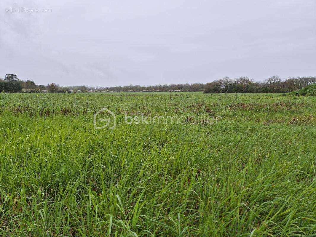 Terrain à SAVONNIERES