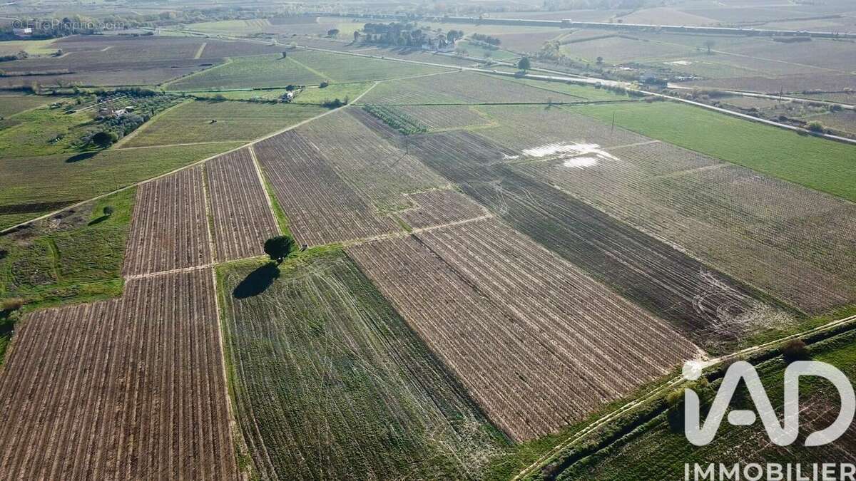 Terrain 238795 m² à Usclas-D'herault  - photo 2