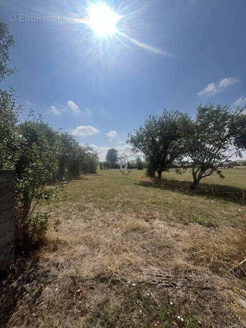 Dépendances- 110m2- Saussenac - photo 5