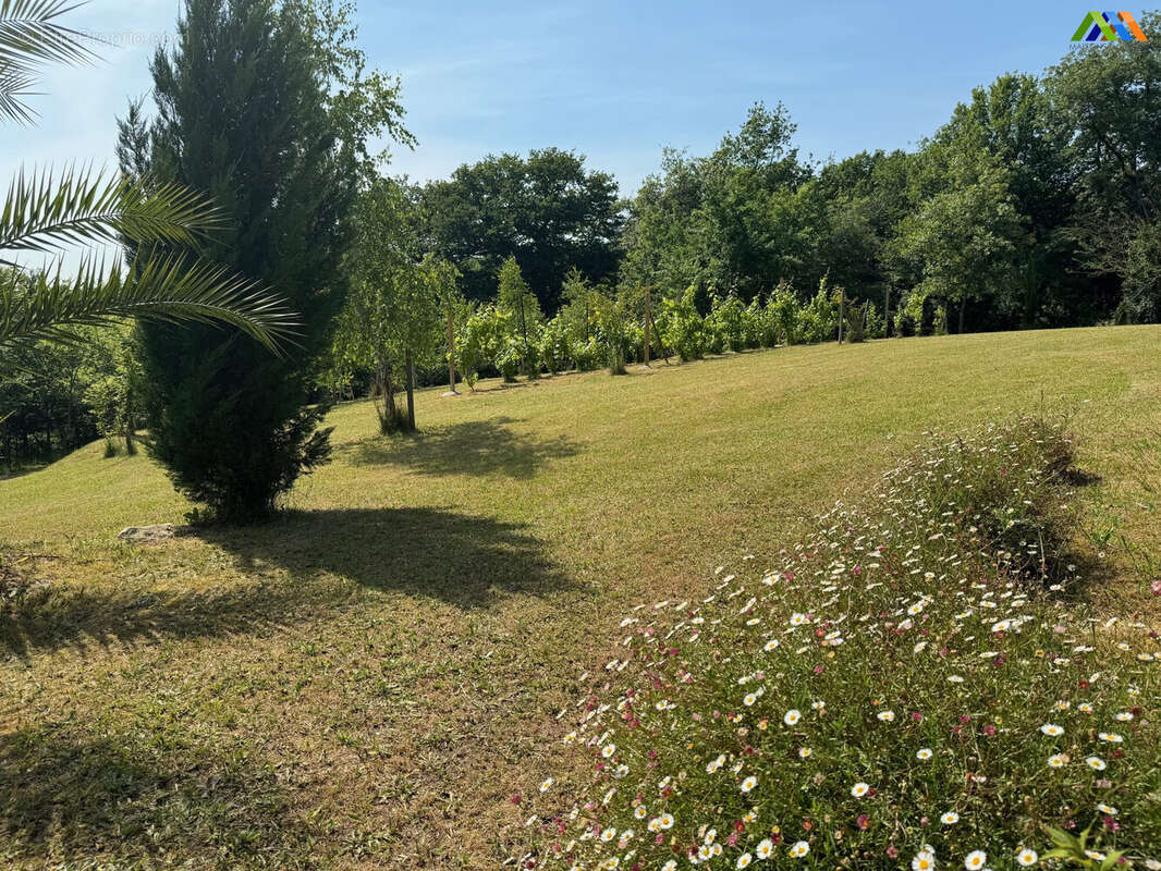 Maison 138 m² à Garlin  - photo 3