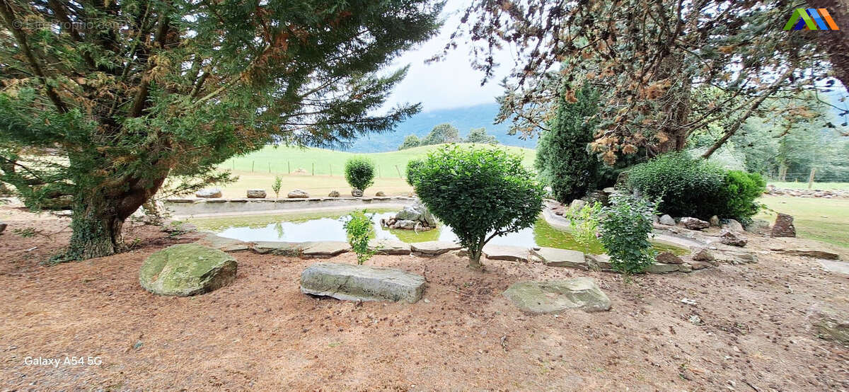 Maison 300 m² à Mauleon-Barousse  - photo 8