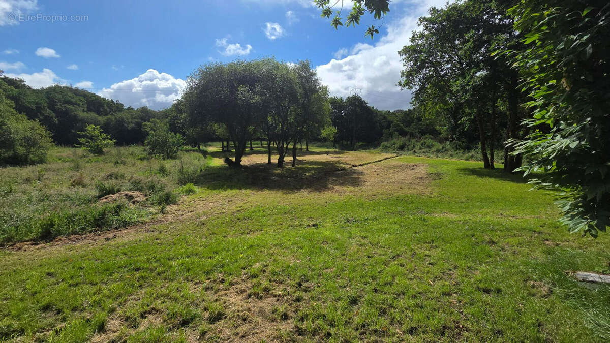 20 min au Sud de Guingamp Maison sur environ 5000m² de terrain avec hangar - photo 15