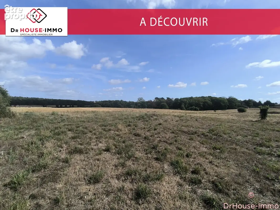 Terrain 1050 m² à Allaire  - photo 4
