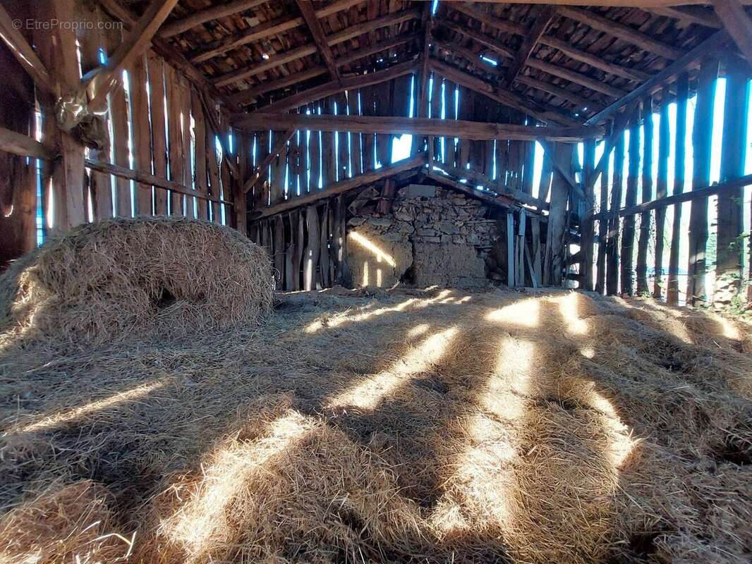 20251218152421 - Maison à ARBAS