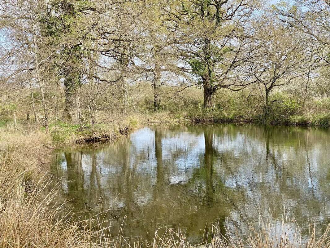 Charmante ferme rénovée avec grande grange, nombreuses dépendances, étang et plus de 9,6 hectares de terrain - photo 2