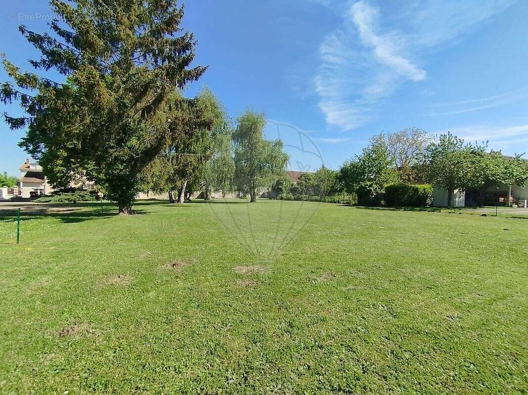 Terrain à GRANDPUITS-BAILLY-CARROIS