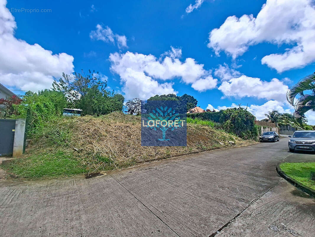 Terrain à LE LAMENTIN