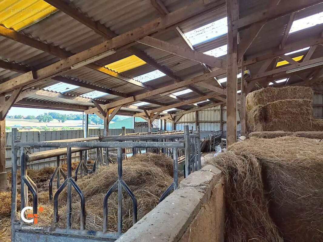 À VENDRE — Rare sur le marché : Corps de ferme  sur 3,75 hectares au cœur du Pays de Bray - photo 14