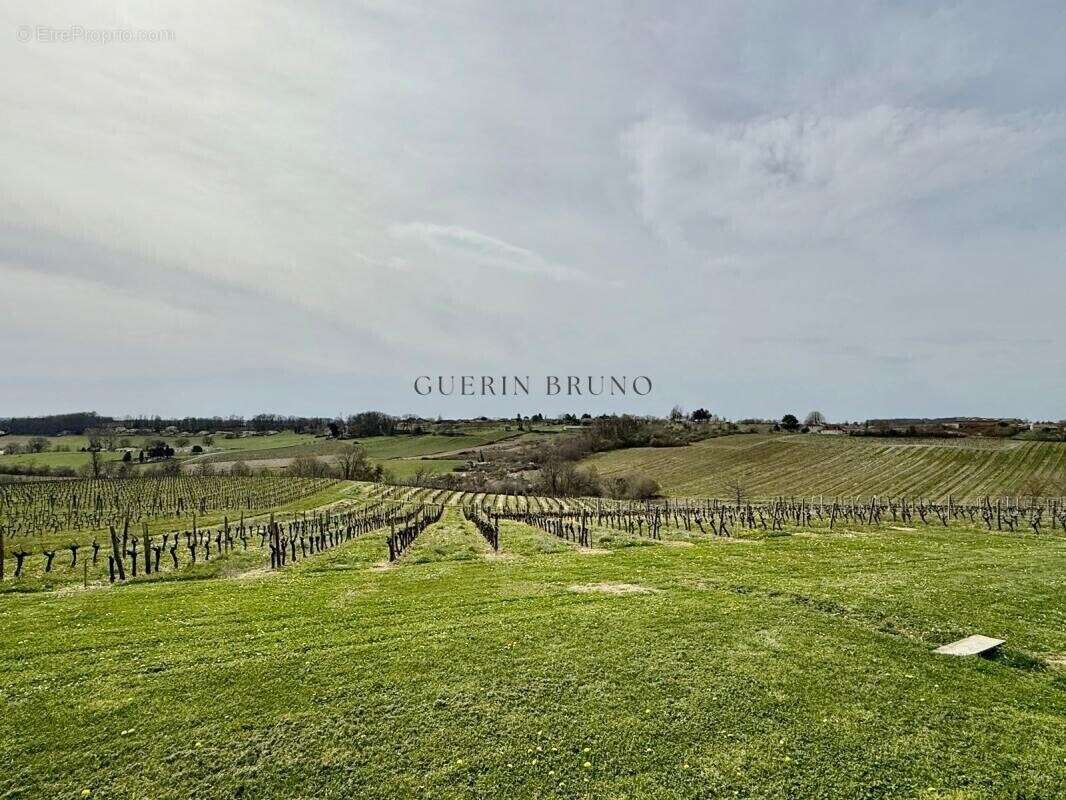 Maison à MONBAZILLAC