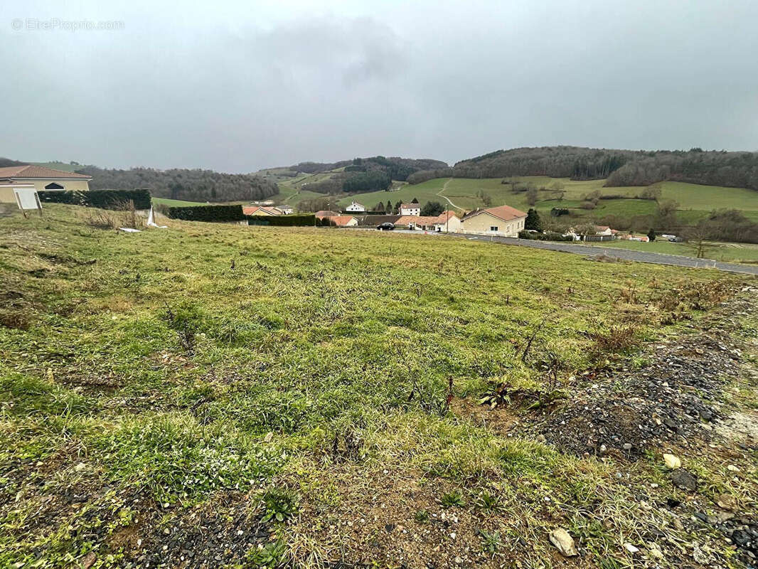 Terrain à SAINT-CHRISTO-EN-JAREZ