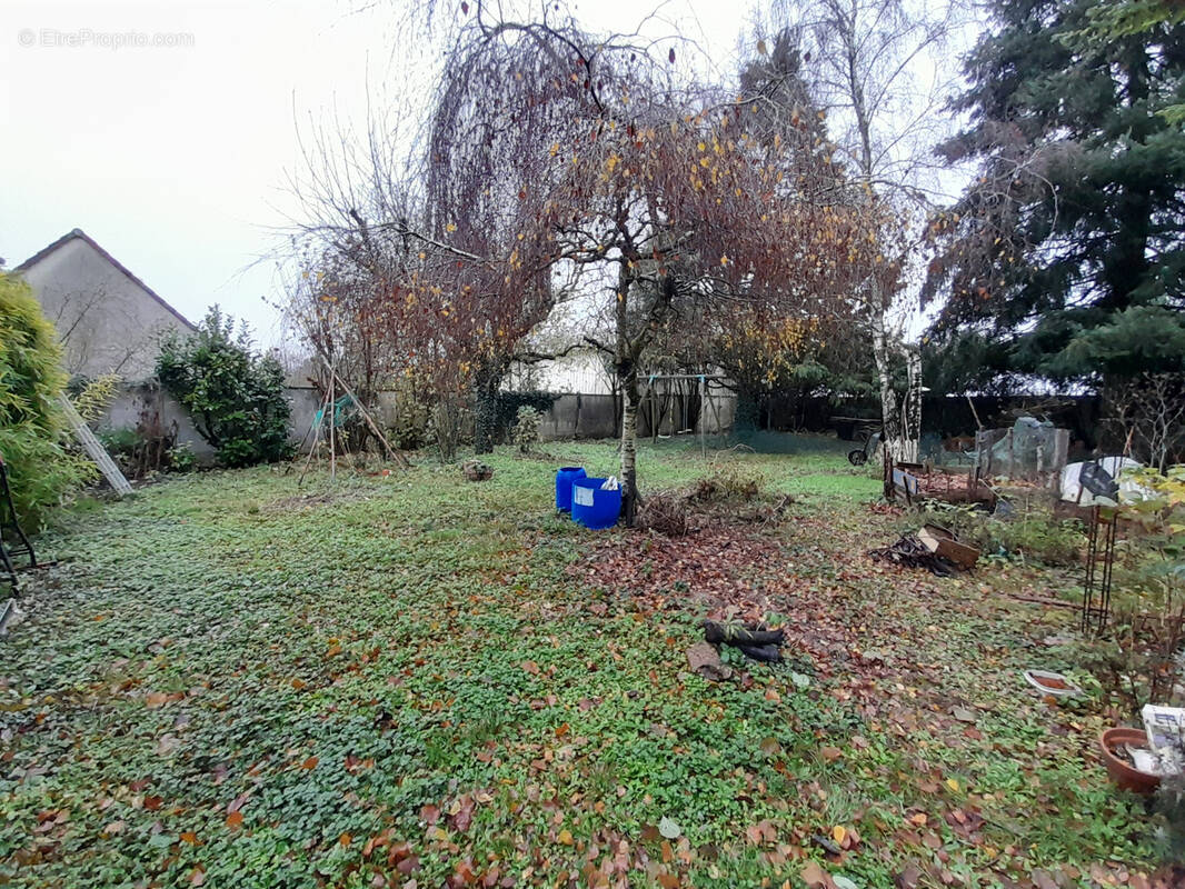 Terrain à SAINVILLE