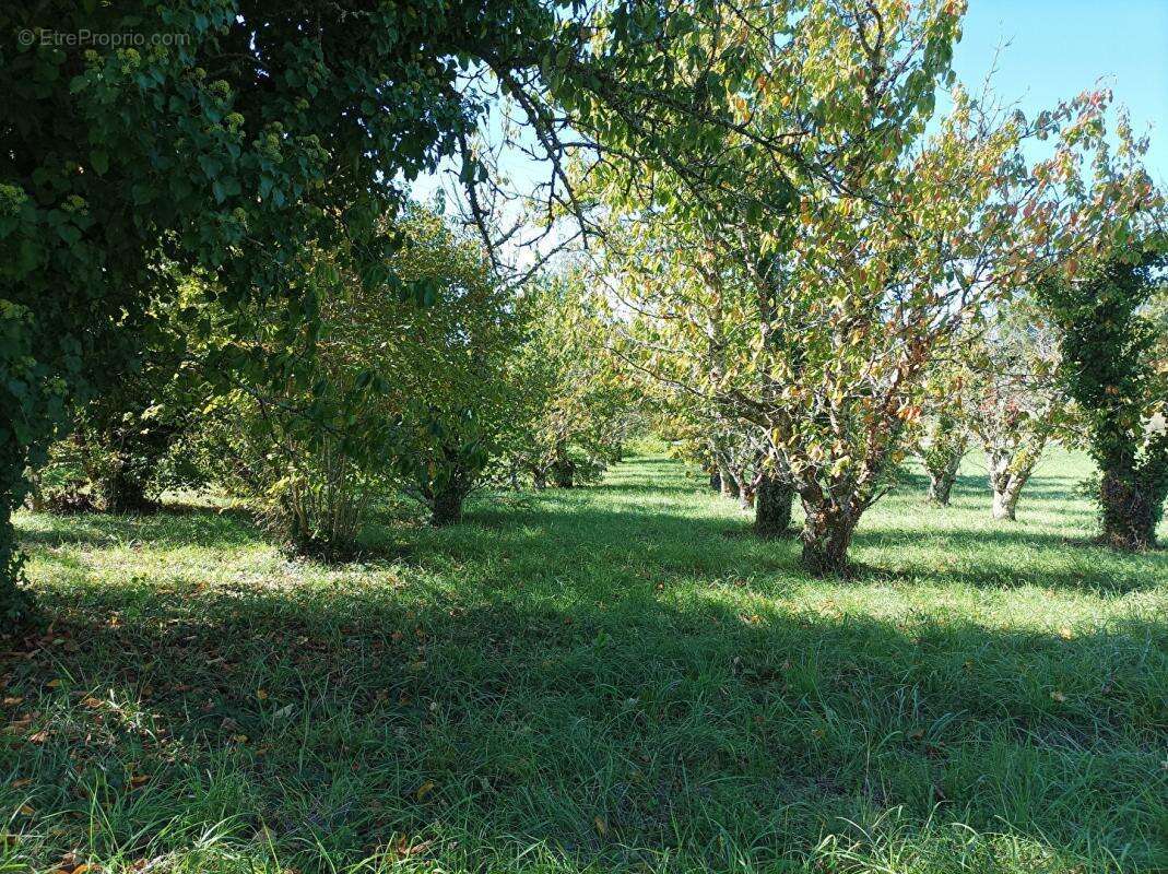 LUZECH .Terrain constructible à vendre - photo 5