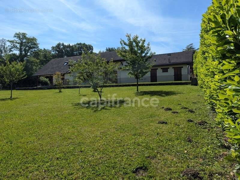 Maison à BLETTERANS