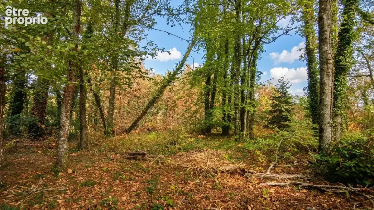 Trégunc - maison 5 chambres, environnement boisé, 2 hect de terrain - photo 19