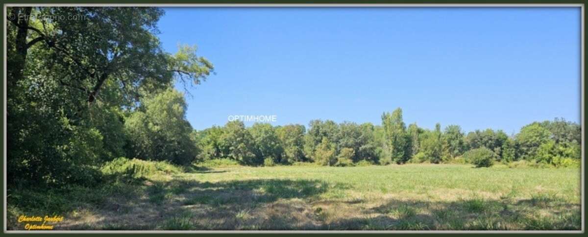 moulin à rénover avec dépendances et plus de 1,5 ha de terrain - photo 8