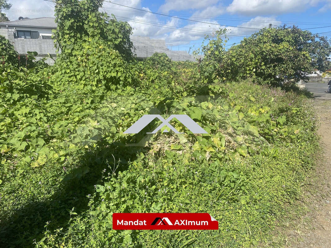 Terrain à LE TAMPON