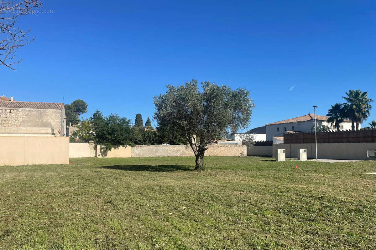 Terrain à LUNEL-VIEL