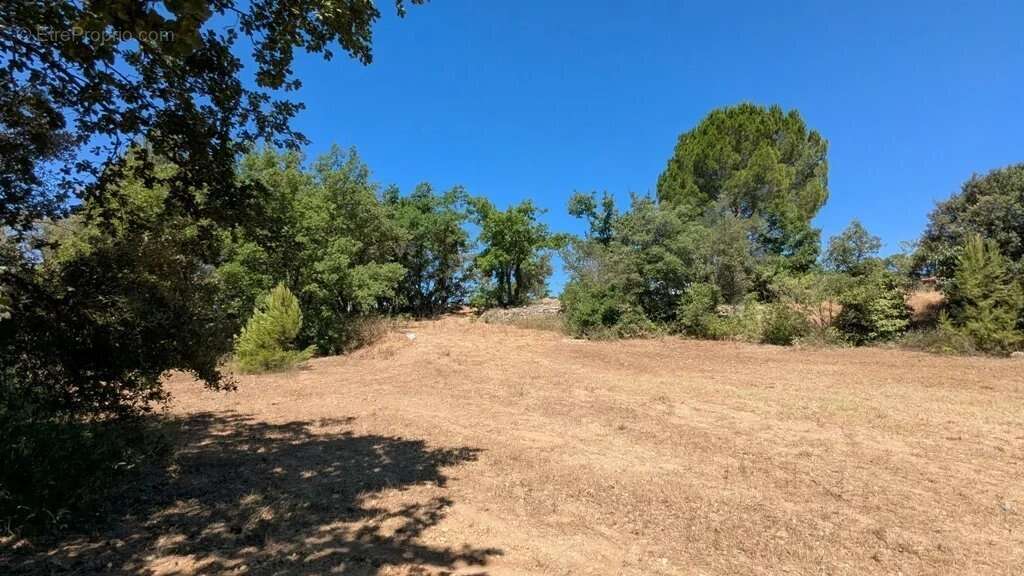 CARCES - Terrains à bâtir libre constructeur à partir de 1.500m² - photo 11