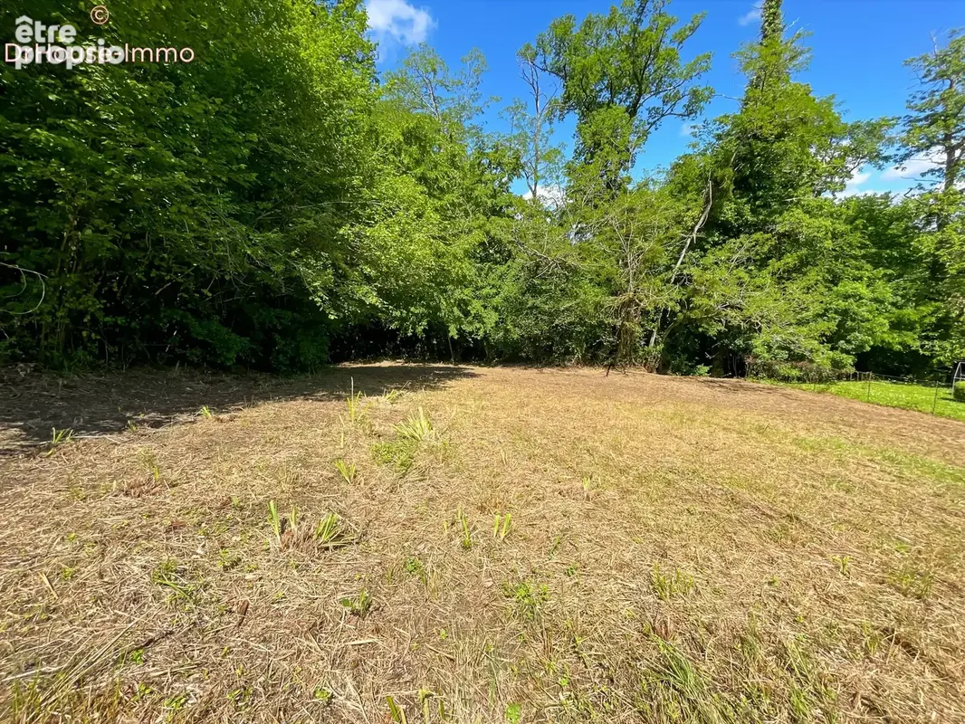 Terrain 1 108 m² à vendre à Mont-De-Marsan (40000) - photo 18