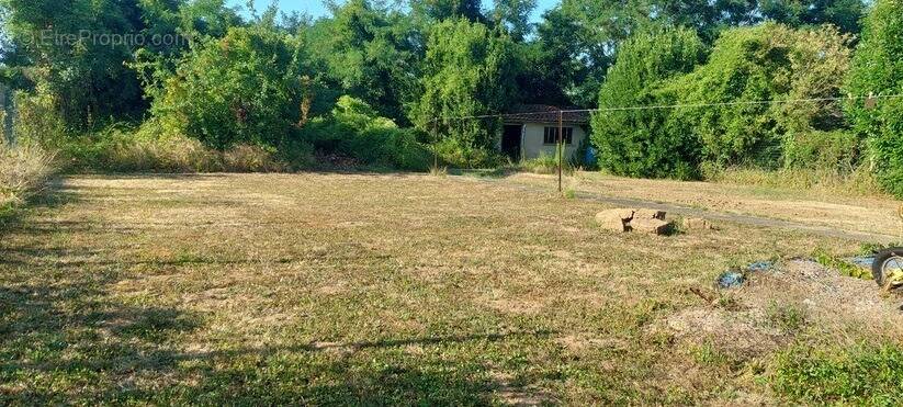 Terrain à MONTIGNY-SUR-LOING