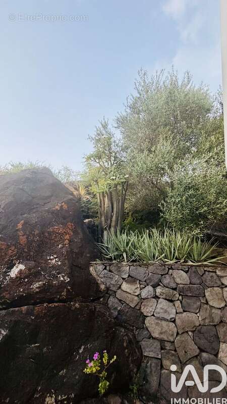 Photo 9 - Maison à SAINT-PAUL