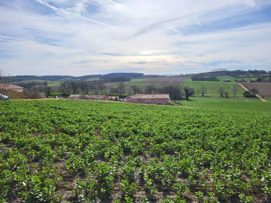 Terrain à PUYCASQUIER