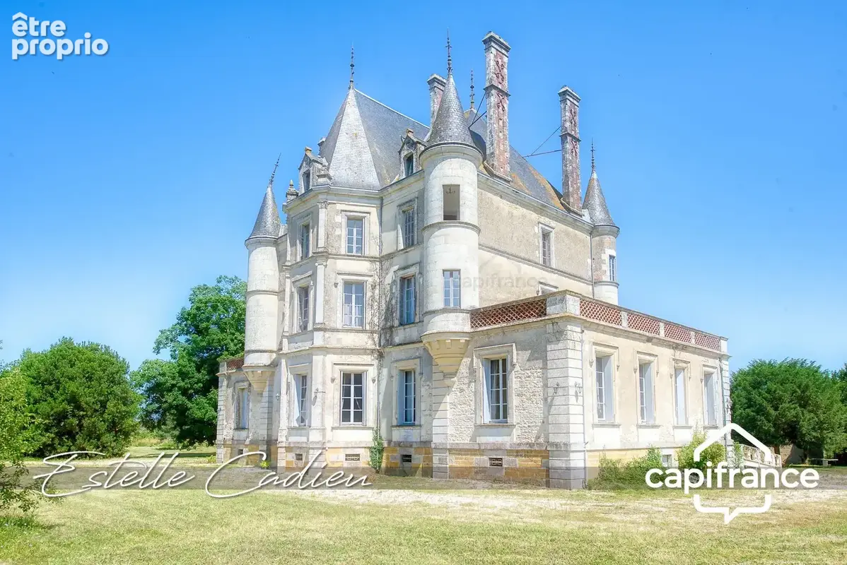 Propriété d’exception  – Château XIXe à CHANTONNAY (85) - photo 5