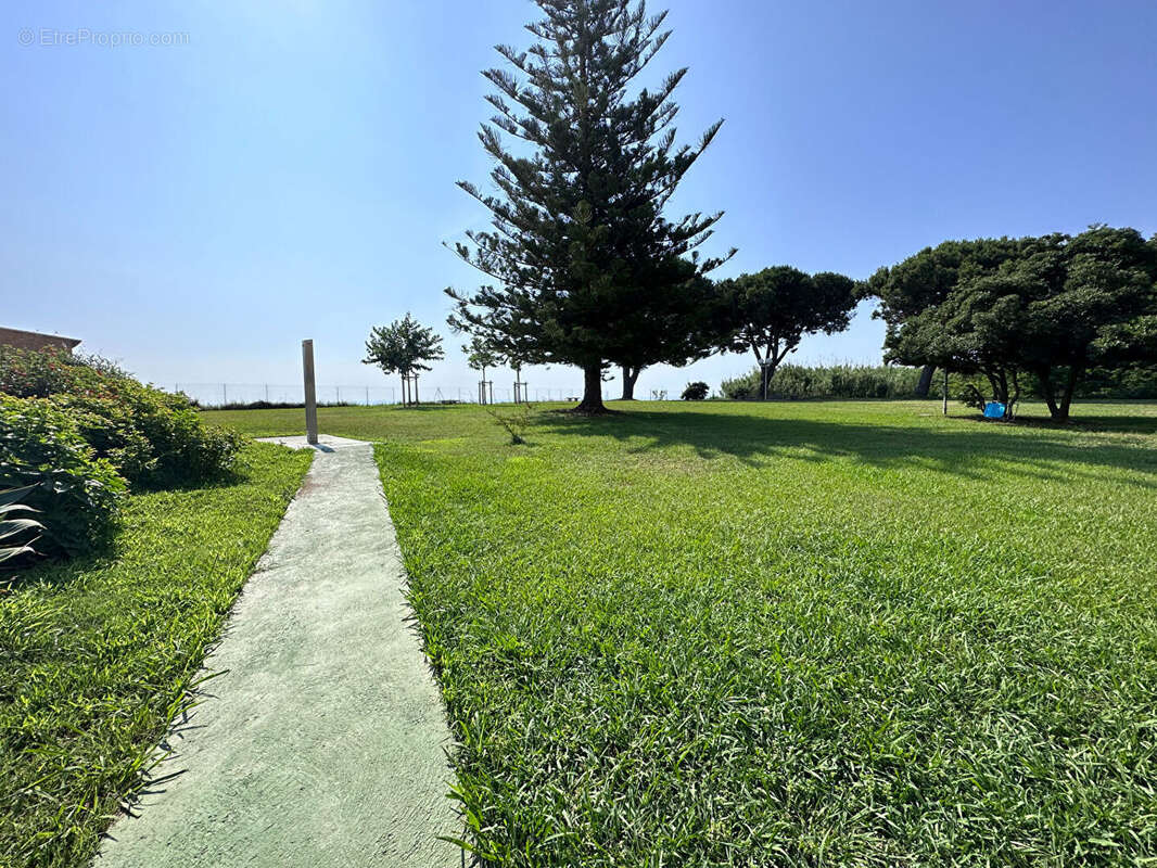 Appartement à SAN-NICOLAO